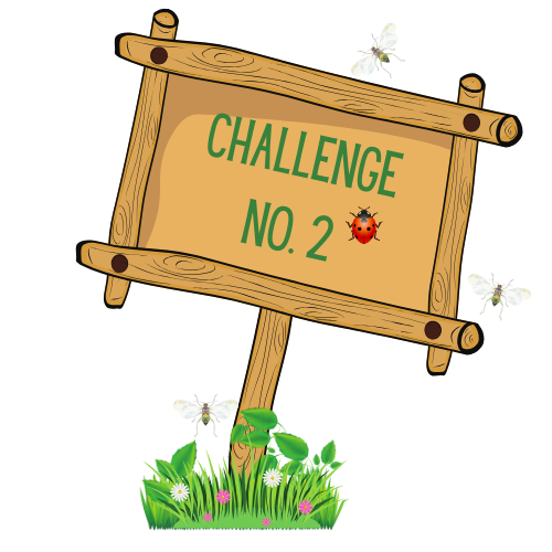 Ready for challenge number two? Ready for challenge number two?